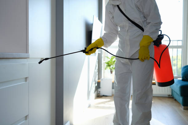 Best Residential Mold Removal  in Cottonwood, AZ